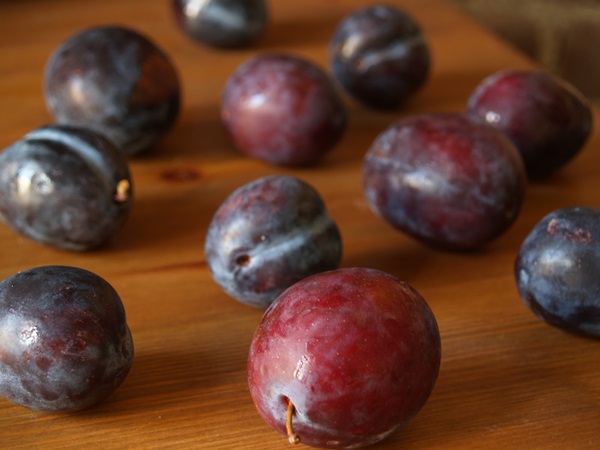 Como criar breu de uma ameixa com uma pedra e pitted - receitas simples