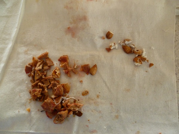 Como criar breu de uma ameixa com uma pedra e pitted - receitas simples