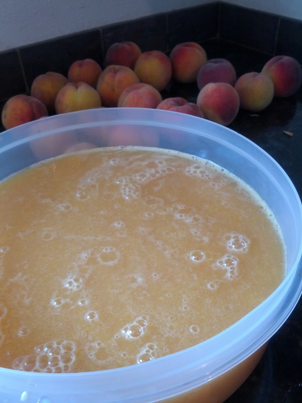Como criar breu de uma ameixa com uma pedra e pitted - receitas simples