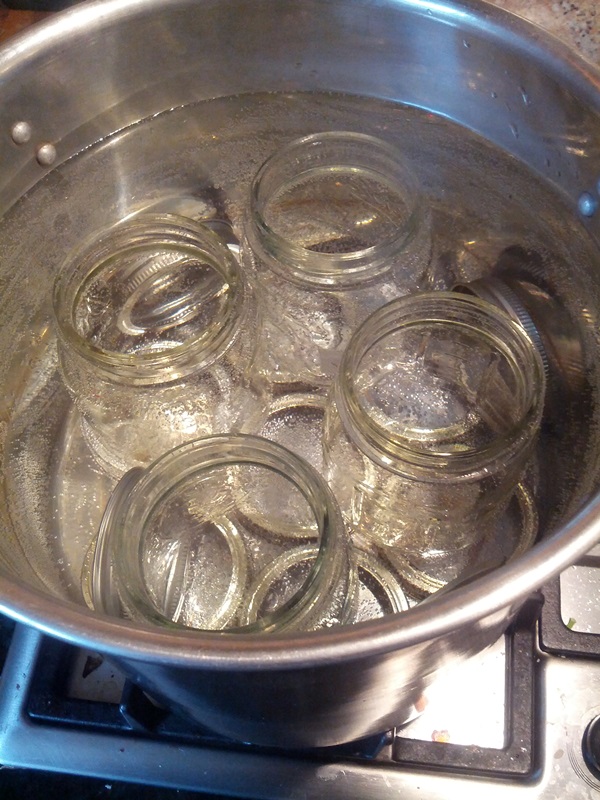 Como criar breu de uma ameixa com uma pedra e pitted - receitas simples