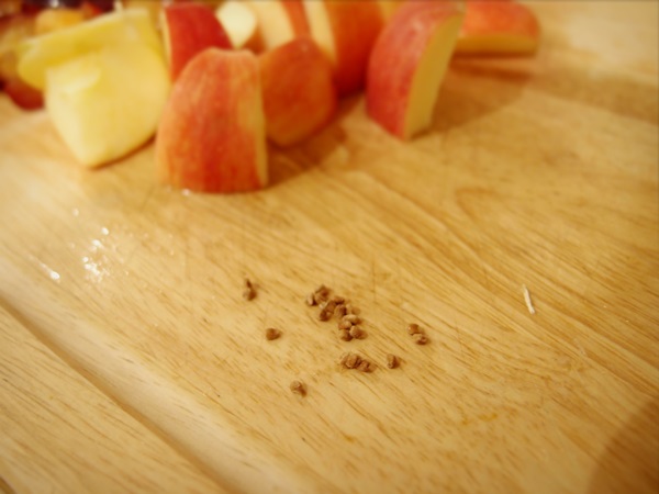 Como criar breu de uma ameixa com uma pedra e pitted - receitas simples