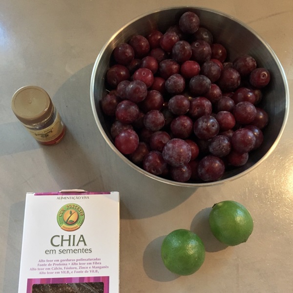 Como criar breu de uma ameixa com uma pedra e pitted - receitas simples