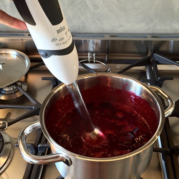 Como criar breu de uma ameixa com uma pedra e pitted - receitas simples