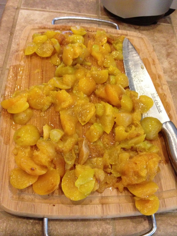 Como criar breu de uma ameixa com uma pedra e pitted - receitas simples