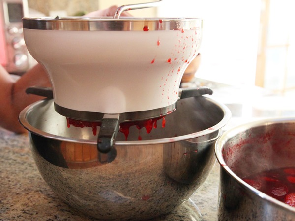Como criar breu de uma ameixa com uma pedra e pitted - receitas simples