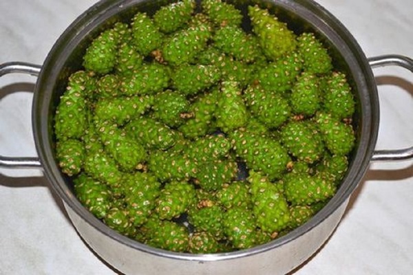 Geléia original de cones de pinheiro