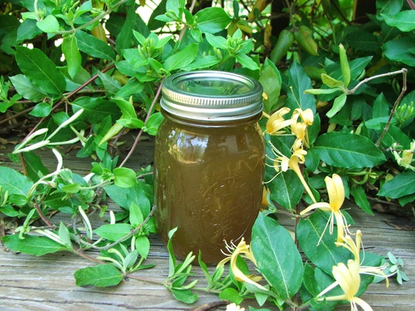 Geléia de madressilva