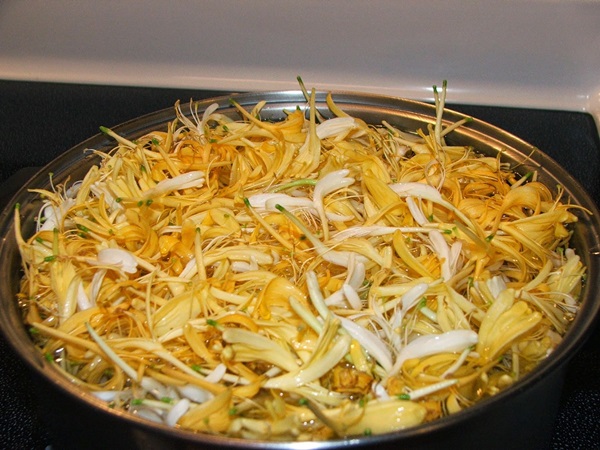 Geléia de madressilva
