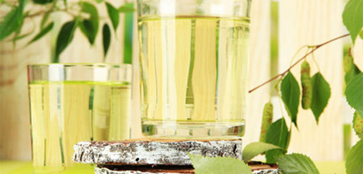 Uma receita antiga de vinho de seiva de bétula
