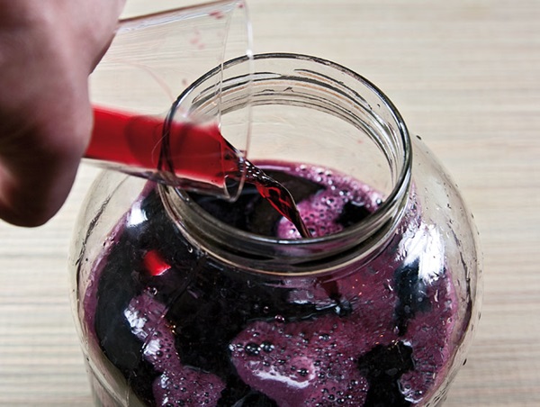 Vinho caseiro de chokeberry