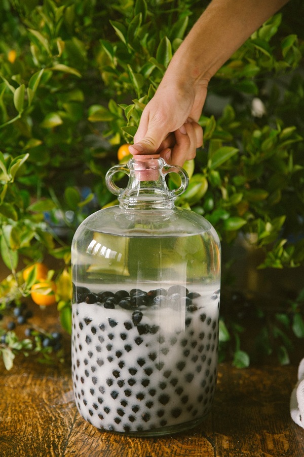 Vinho caseiro de chokeberry