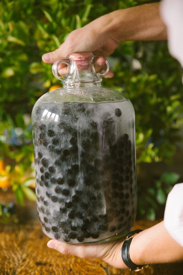 Vinho caseiro de chokeberry