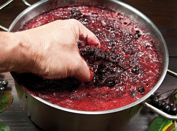 Vinho caseiro de chokeberry