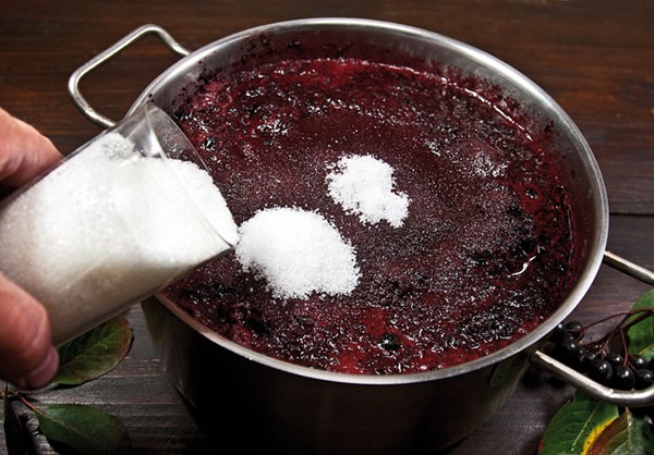Vinho caseiro de chokeberry