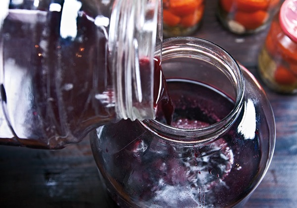 Vinho caseiro de chokeberry