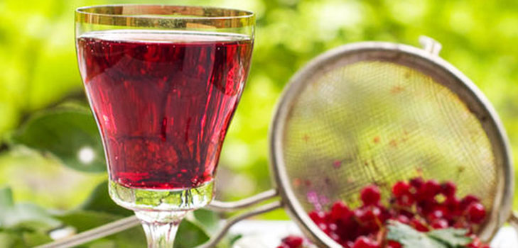 Vinho da groselha no lar - preto, branco, vermelho, sem fermento e com eles. Receitas simples e tradicionais de vinho de casa cor de groselha Vinho da groselha no lar - preto, branco, vermelho, sem fermento e com eles. Receitas simples e tradicionais de vinho de casa cor de groselha