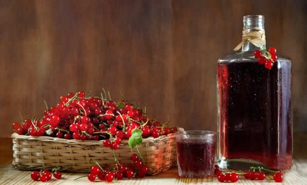 Vinho da groselha no lar - preto, branco, vermelho, sem fermento e com eles. Receitas simples e tradicionais de vinho de casa cor de groselha Vinho da groselha no lar - preto, branco, vermelho, sem fermento e com eles. Receitas simples e tradicionais de vinho de casa cor de groselha