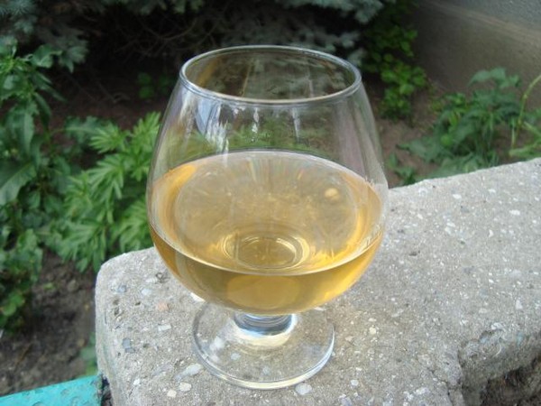 Vinho da groselha no lar - preto, branco, vermelho, sem fermento e com eles. Receitas simples e tradicionais de vinho de casa cor de groselha Vinho da groselha no lar - preto, branco, vermelho, sem fermento e com eles. Receitas simples e tradicionais de vinho de casa cor de groselha