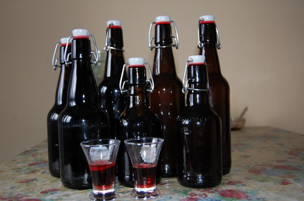 Vinho da groselha no lar - preto, branco, vermelho, sem fermento e com eles. Receitas simples e tradicionais de vinho de casa cor de groselha