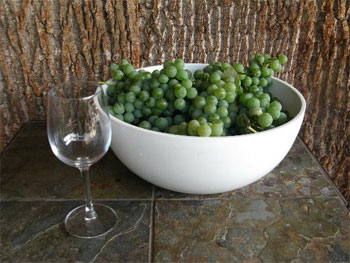 Receita para vinho da casa de uvas verdes Como fazer vinho de uvas verdes