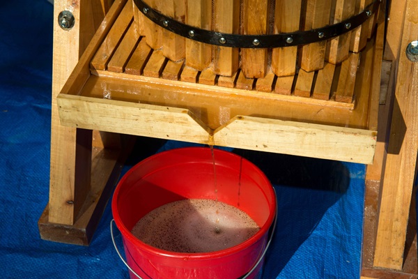 Vinho caseiro de maçãs