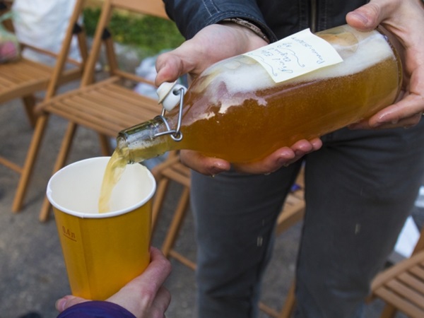 Vinho caseiro de maçãs