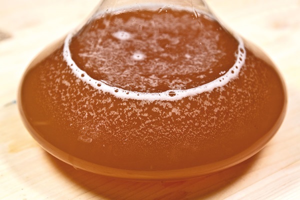 Vinho caseiro de maçãs