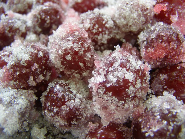 Cereja para o inverno - receitas - geléia com sementes e pits, Cinco minutos, geléia, geléia sem gelatina, compota de cereja