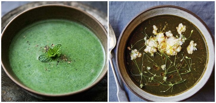 Deliciosa sopa de urtiga suculenta