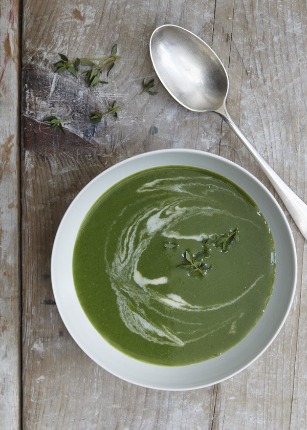 Deliciosa sopa de urtiga suculenta