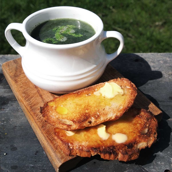 Deliciosa sopa de urtiga suculenta