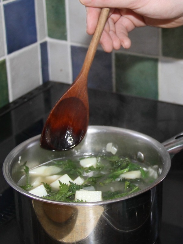 Deliciosa sopa de urtiga suculenta