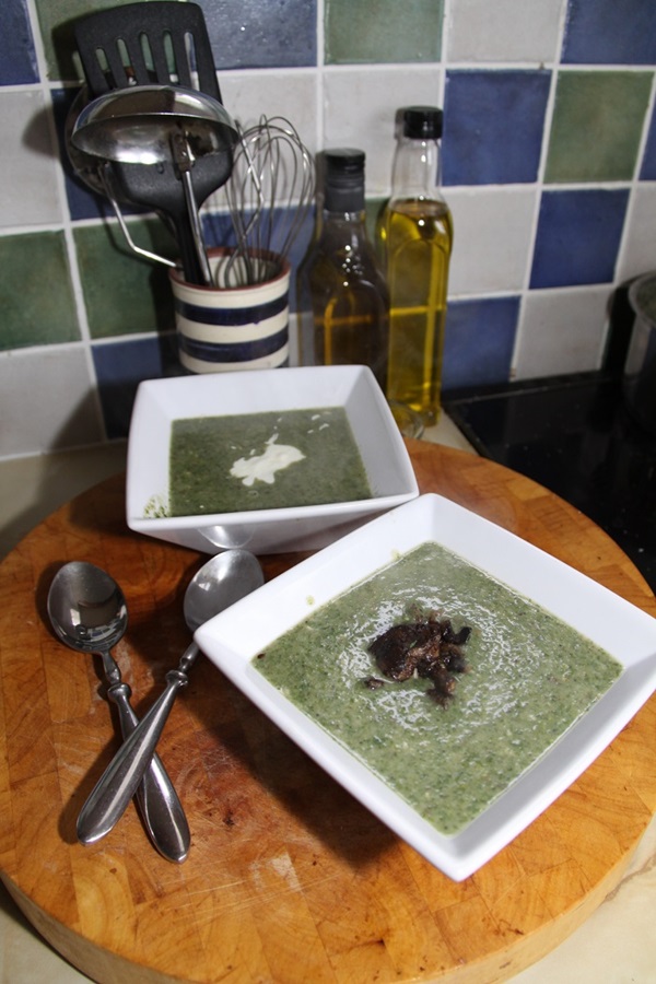 Deliciosa sopa de urtiga suculenta