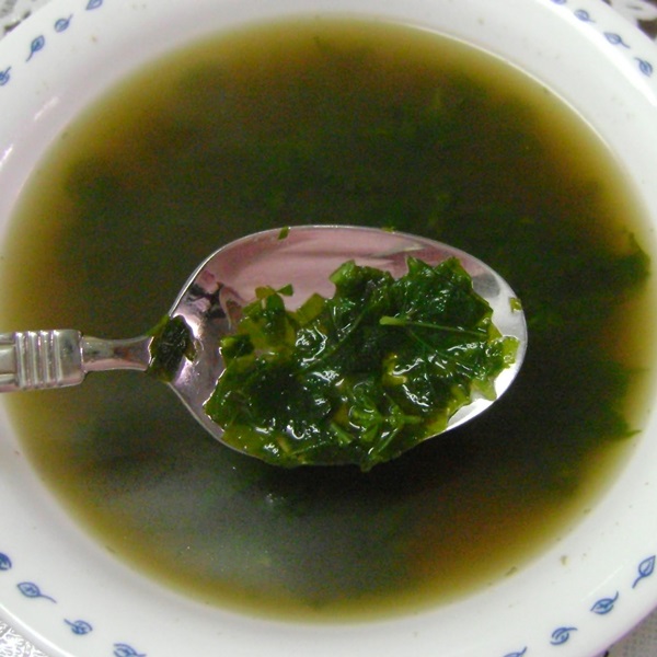 Deliciosa sopa de urtiga suculenta
