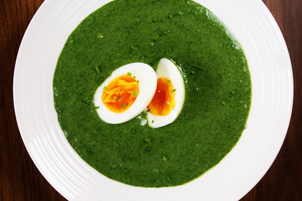 Deliciosa sopa de urtiga suculenta