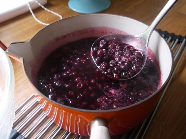 Delicioso gelatina de groselha - receitas