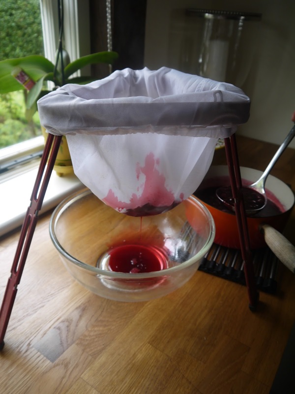 Delicioso gelatina de groselha - receitas