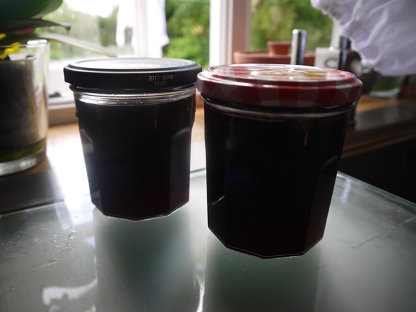 Delicioso gelatina de groselha - receitas