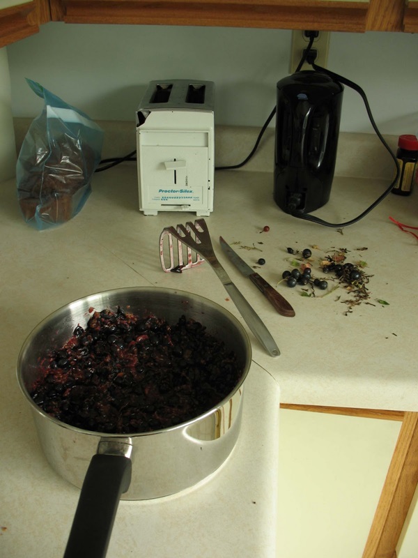 Delicioso gelatina de groselha - receitas