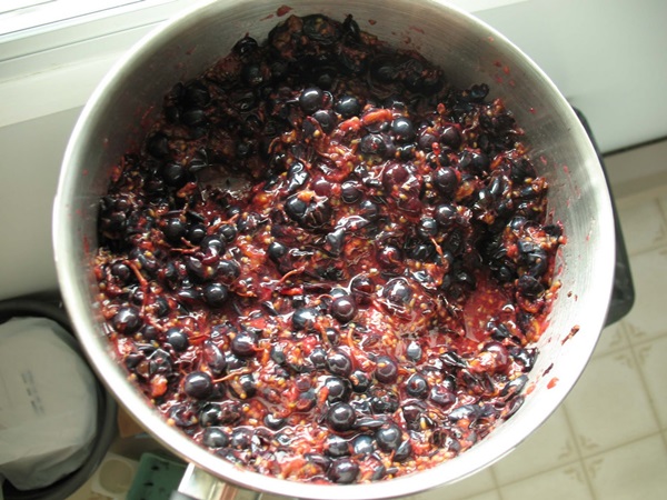 Delicioso gelatina de groselha - receitas
