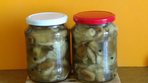 Volnushki: receitas e fotos