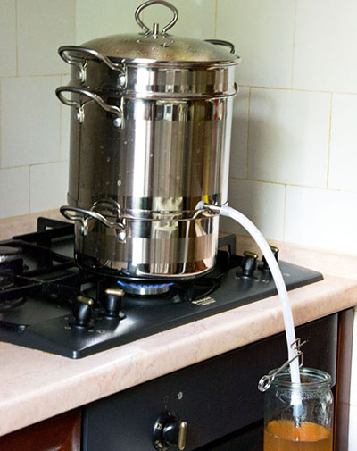 Como preparar suco de maçã para o inverno