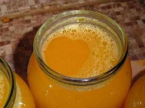 Suco de maçã para o inverno