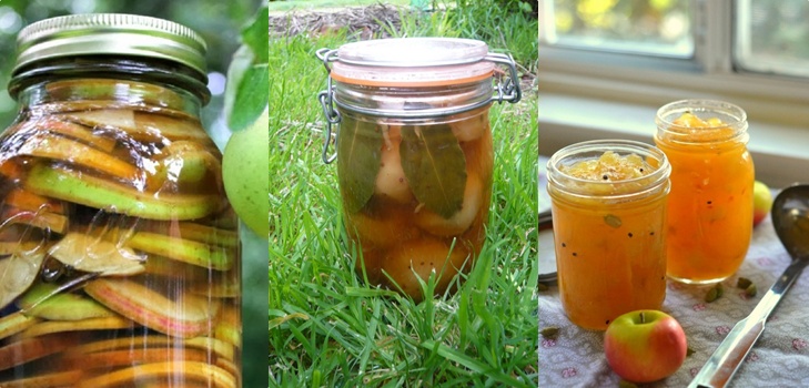 Maçãs para o inverno nos bancos - tarugos e receitas - embebidas e cunhas, compotas, atolamentos, tarugos. Como manter as maçãs no inverno em casa