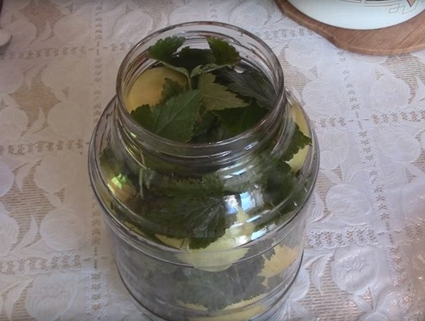 Maçãs para o inverno nos bancos - tarugos e receitas - embebidas e cunhas, compotas, atolamentos, tarugos. Como manter as maçãs no inverno em casa