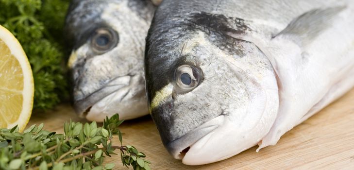 Home enlatado peixe