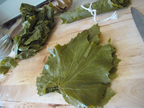 Como decapitar folhas de videira por dolma