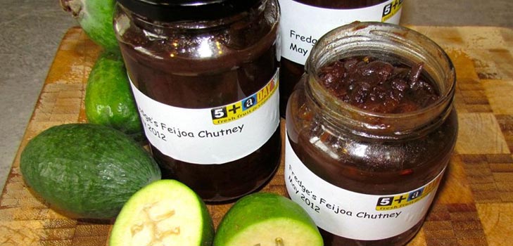 Espaçamentos de feijoa para o inverno, as melhores receitas com uma foto