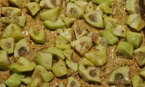 Espaçamentos de feijoa para o inverno, as melhores receitas com uma foto