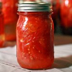 Blocos de tomate para o inverno